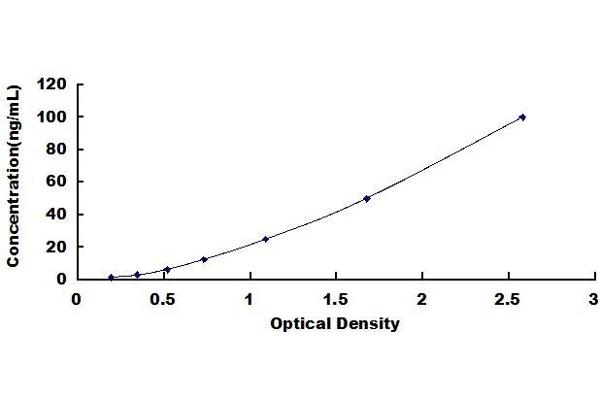 IgM ELISA Kit