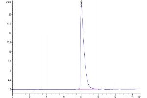 CADM3 Protein (AA 23-326) (His tag)