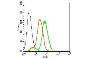 Flow Cytometry (FACS) image for anti-High Mobility Group Box 1 (HMGB1) (AA 75-170) antibody (ABIN671616)