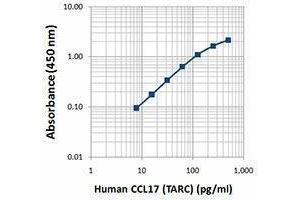 ELISA image for anti-Chemokine (C-C Motif) Ligand 17 (CCL17) antibody (ABIN2664095) (CCL17 Antikörper)