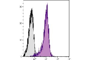 BALB/c mouse thymocytes were stained with Hamster Anti-Mouse CD28-UNLB. (CD28 Antikörper  (SPRD))