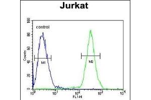 SSN1 Antibody (Center) (ABIN652058 and ABIN2840526) flow cytometric analysis of Jurkat cells (right histogr) compared to a negative control cell (left histogr). (SAMSN1 Antikörper  (AA 255-283))