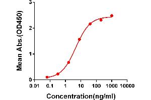 ELISA image for anti-SARS-CoV-2 Spike (AA 319-541) antibody (ABIN6964062)