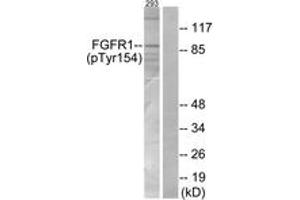 Western blot analysis of extracts from 293 cells, using FGFR1 (Phospho-Tyr154) Antibody. (FGFR1 Antikörper  (pTyr154))