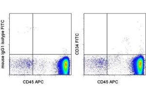 Image no. 1 for anti-CD34 (CD34) antibody (FITC) (ABIN474253) (CD34 Antikörper  (FITC))