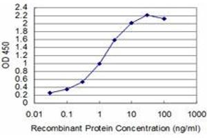 Detection limit for recombinant GST tagged T is approximately 0. (T Brachyury Protein (AA 222-320) Antikörper)
