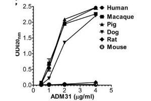 ELISA image for anti-neonatal Fc Receptor (FcRn) antibody (ABIN1774762)