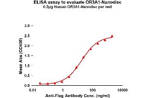 Elisa plates were pre-coated with Flag Tag OR3A1-Nanodisc (0. (OR3A1 Protein)