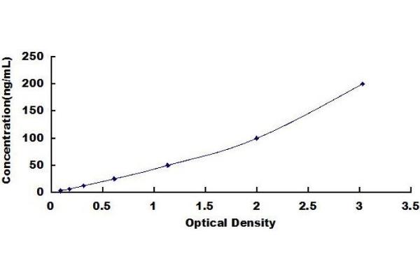 TNC ELISA Kit