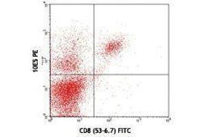 Flow Cytometry (FACS) image for anti-CD226 (CD226) antibody (PE) (ABIN2663191) (CD226 Antikörper  (PE))