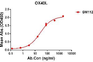 ELISA plate pre-coated by 2 μg/mL (100 μL/well) Human OX40L protein, mFc-His tagged protein ABIN6961094, ABIN7042217 and ABIN7042218 can bind Rabbit anti-OX40L monoclonal antibody  (clone: DM112) in a linear range of 0. (TNFSF4 Antikörper  (AA 51-183))