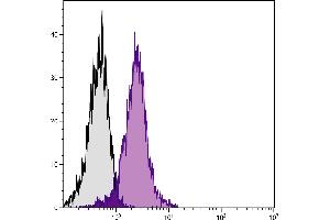 BALB/c mouse thymocytes were stained with Hamster Anti-Mouse CD28-FITC. (CD28 Antikörper  (FITC))