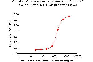 ELISA plate pre-coated by 5 μg/mL (100 μL/well) Human TSLP Protein, hFc Tag (ABIN7092793, ABIN7272398 and ABIN7272399) can bind Anti-TSLP Neutralizing antibody (ABIN7478008 and ABIN7490983) in a linear range of 741-6667 ng/mL. (Rekombinanter TSLP (Tezepelumab Biosimilar) Antikörper)