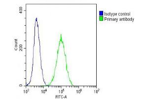 Overlay histogram showing NIH/3T3 cells stained with (ABIN6242659 and ABIN6578660) (green line). (TUBB Antikörper  (AA 46-78))