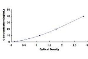 Typical Standard Curve (Aquaporin 4 ELISA Kit)