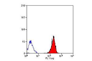 Staining of human peripheral blood lymphocytes with Rat anti Human HLA ABC (ABIN119778). (HLA-ABC Antikörper)