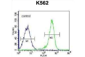 Flow Cytometry (FACS) image for anti-Proline-serine-threonine Phosphatase Interacting Protein 1 (PSTPIP1) antibody (ABIN2996784) (PSTPIP1 Antikörper)