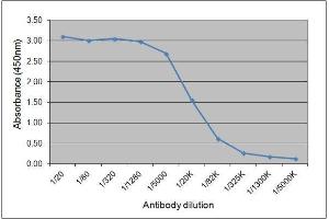 ELISA image for Mouse anti-Horse IgGa antibody (ABIN2474776)