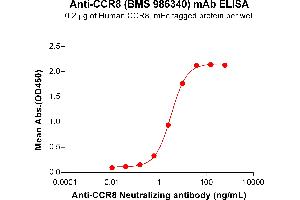 ELISA plate pre-coated by 2 μg/mL (100 μL/well) Human Protein, mFc Tag (ABIN7455399, ABIN7490605 and ABIN7490607) can bind Anti- Neutralizing antibody (ABIN7478011 and ABIN7490961) in a linear range of 0. (Rekombinanter CCR8 (BMS 986340 Biosimilar) Antikörper)