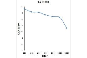 Antigen: 0. (E2F1 Antikörper  (pSer332))