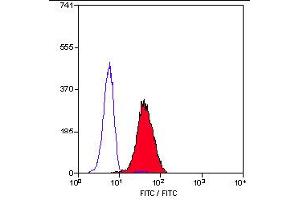 Staining of human peripheral blood granulocytes with mouse anti human BLTR (ABIN119614). (Leukotriene B4 Receptor/BLT Antikörper)