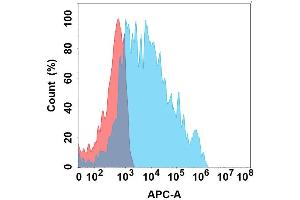 Flow cytometry analysis with Anti-A on Expi293 cells transfected with human A (Blue histogram) or Expi293 transfected with irrelevant protein (Red histogram). (KLRC1 Antikörper)