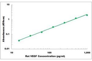 Representative Standard Curve (VEGF ELISA Kit)