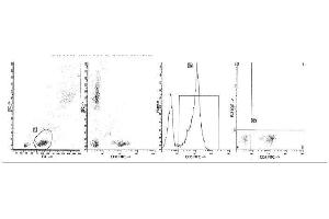 Image no. 1 for anti-CD5 (CD5) antibody (FITC) (ABIN1106440) (CD5 Antikörper  (FITC))