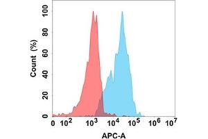 Flow cytometry analysis with Anti-CD70 (DM191) on Expi293 cells transfected with human CD70 (Blue histogram) or Expi293 transfected with irrelevant protein (Red histogram). (CD70 Antikörper)