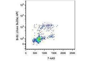 Flow Cytometry (FACS) image for Bromodeoxyuridine (BrdU) (ABIN2669170)