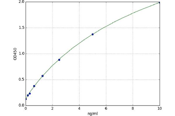 IMMP2L ELISA Kit