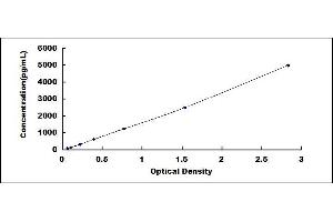 GDF3 ELISA Kit