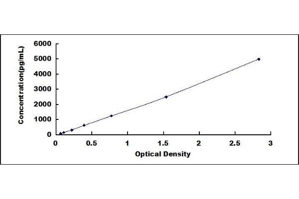 GDF3 ELISA Kit