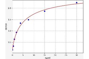 LECT2 ELISA Kit