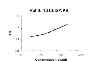 ELISA image for Interleukin 1, beta (IL1B) ELISA Kit (ABIN6719718)