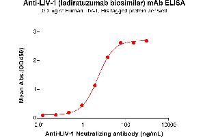 ELISA plate pre-coated by 2 μg/mL (100 μL/well) Human LIV-1 Protein, His Tag ABIN7455490, ABIN7490968 and ABIN7490970 can bind Anti-LIV-1 Neutralizing antibody (ABIN7478009 and ABIN7490985) in a linear range of 0. (Rekombinanter LIV-1 (Ladiratuzumab Biosimilar) Antikörper)