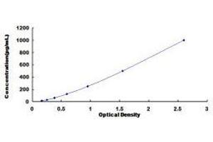 ELISA image for Chemokine (C-X-C Motif) Ligand 13 (CXCL13) ELISA Kit (ABIN432229) (CXCL13 ELISA Kit)