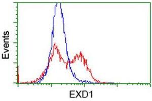 HEK293T cells transfected with either RC206223 overexpress plasmid (Red) or empty vector control plasmid (Blue) were immunostained by anti-EXD1 antibody (ABIN2453984), and then analyzed by flow cytometry. (EXD1 Antikörper)