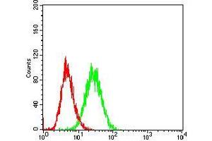 Fig. (CD36 Antikörper  (AA 30-130))