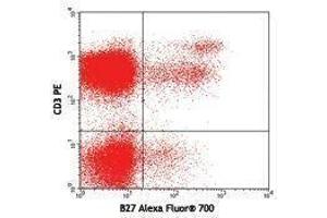 Flow Cytometry (FACS) image for anti-Interferon gamma (IFNG) antibody (Alexa Fluor 700) (ABIN2658101) (Interferon gamma Antikörper  (Alexa Fluor 700))