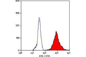 Image no. 1 for anti-Macrophages antibody (FITC) (ABIN305286) (Macrophages Antikörper (FITC))