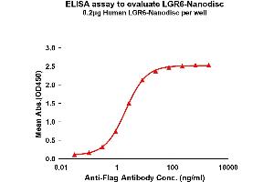 Elisa plates were pre-coated with Flag Tag -Nanodisc (0. (LGR6 Protein)