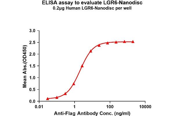 LGR6 Protein