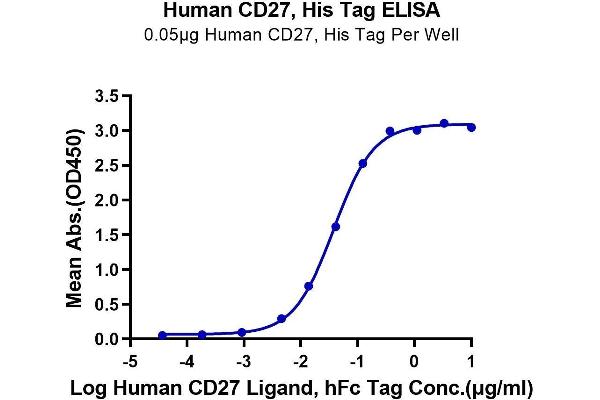 CD27 Protein (AA 21-192) (His tag)