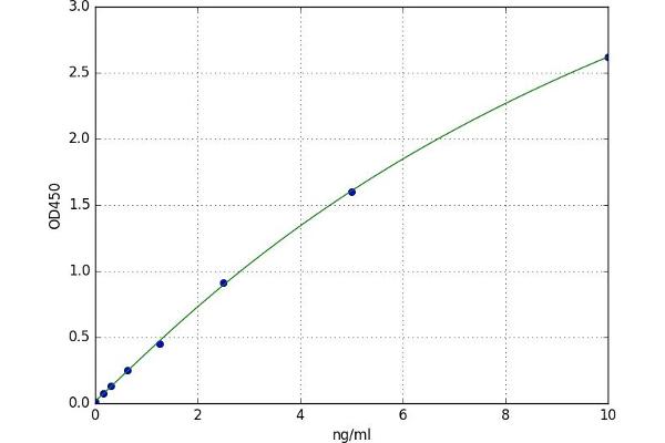 BAP1 ELISA Kit