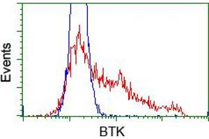 Image no. 2 for anti-Bruton Agammaglobulinemia tyrosine Kinase (BTK) antibody (ABIN1496977) (BTK Antikörper)
