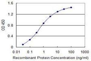 Detection limit for recombinant GST tagged HSPB8 is 0. (HSPB8 Antikörper  (AA 1-196))