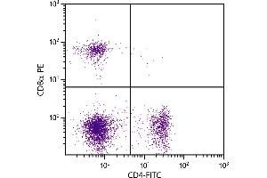 BALB/c mouse splenocytes were stained with Rat Anti-Mouse CD4-FITC and Rat Anti-Mouse CD8α-PE. (CD4 Antikörper  (FITC))