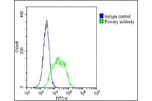 Flow Cytometry (FACS) image for anti-BMI1 Polycomb Ring Finger Oncogene (BMI1) antibody (ABIN652702)