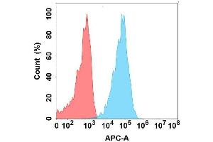 Flow cytometry analysis with Anti-CA on Expi293 cells transfected with human CA (Blue histogram) or Expi293 transfected with irrelevant protein (Red histogram). (CLEC9A Antikörper)